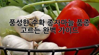 풍성한 수확! 종자마늘 품종 고르는 완벽 가이드
