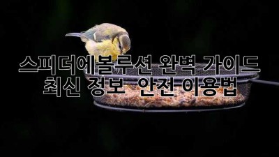 스피더에볼루션 완벽 가이드: 최신 정보 & 안전 이용법