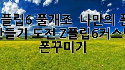 Z플립6 풀개조 🤩 나만의 폰 만들기 도전! #Z플립6커스텀 #폰꾸미기