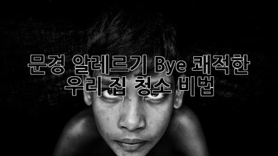 🤧 문경 알레르기 Bye! 쾌적한 우리 집 청소 비법 🏡✨